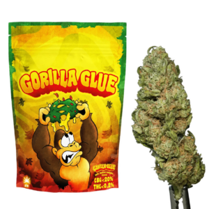 Susz Konopny Gorilla CBG 21 procent CBG poniżej 19 procent CBD poniżej 2 procent